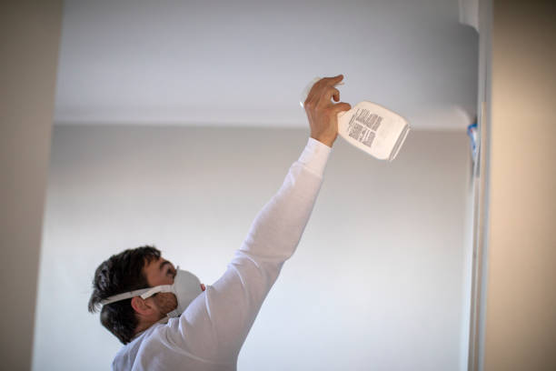 Best Commercial Mold Removal  in Wolfdale, PA