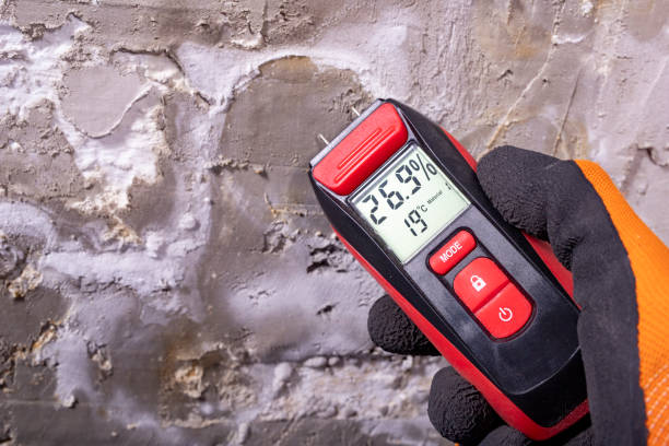 Best Mold Cleaning Services  in Wolfdale, PA