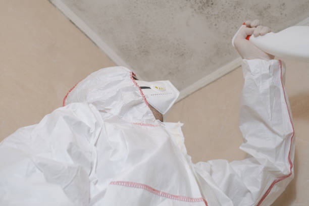 Best Mold Testing  in Wolfdale, PA