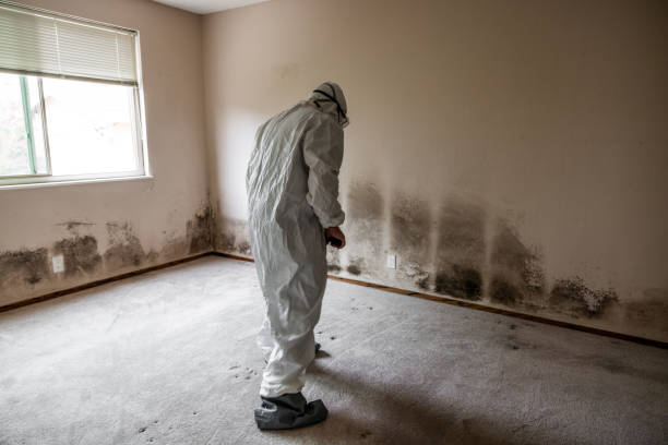 Best Crawl Space Mold Removal  in Wolfdale, PA